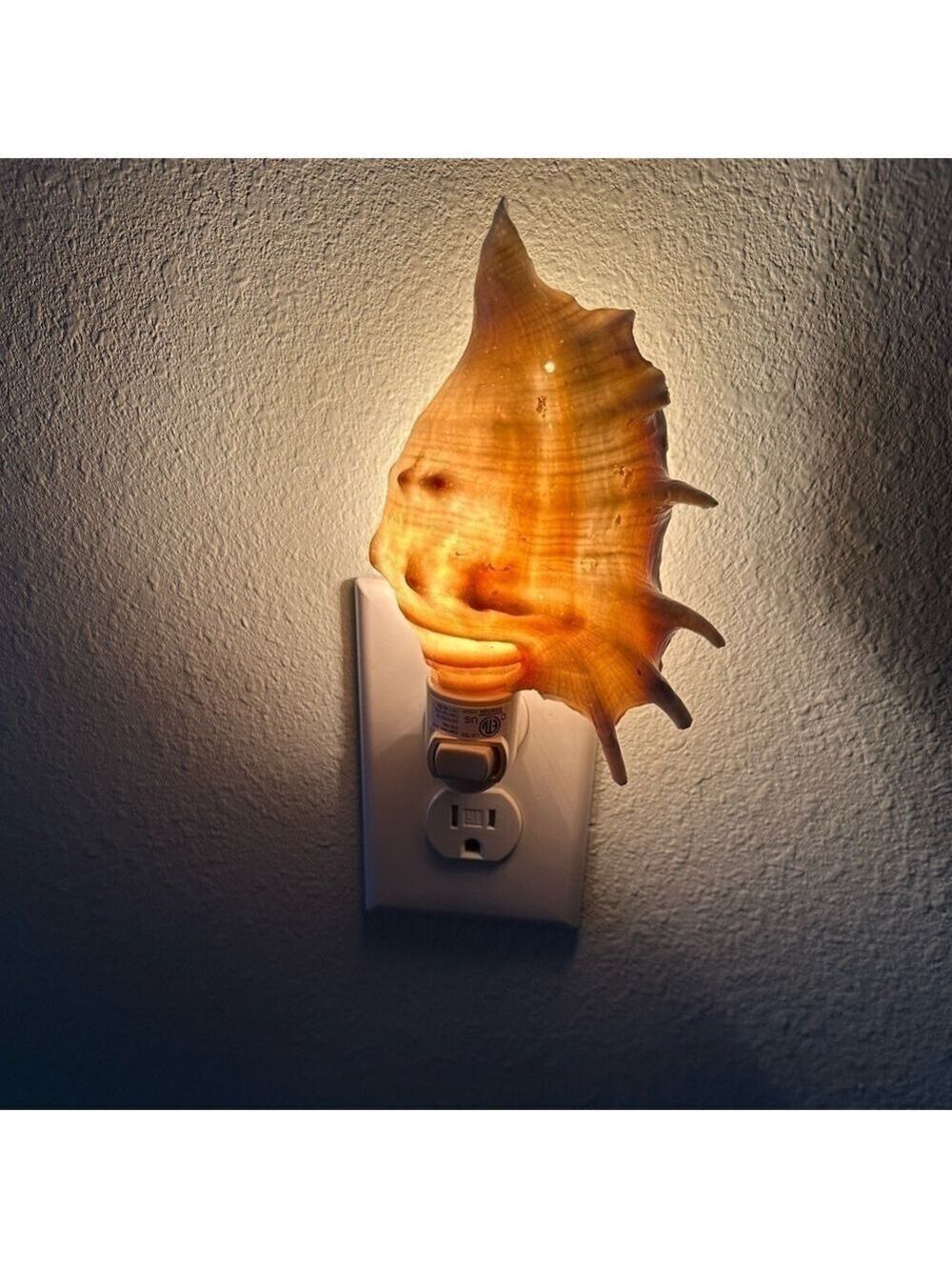 Spider Conch Seashell Nightlight. Such a Beautiful glow at night. NWOT